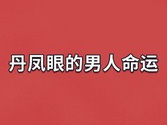 丹凤眼的男人命运：事业不错/婚姻幸福(内外兼修)