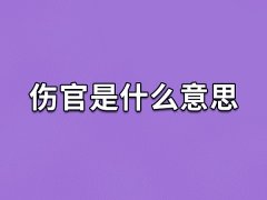 伤官是什么意思,什么是伤官