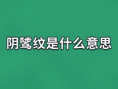 阴骘纹是什么意思,什么是阴骘纹