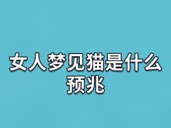 女人梦见猫是什么预兆,女生梦见猫是什么意思