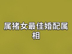 属猪女最佳婚配属相：生