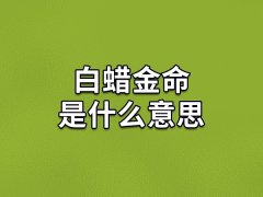 白蜡金命是什么意思：庚辰/辛巳年出生(晚年运势好)