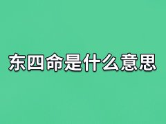 东四命是什么意思,什么是东四命