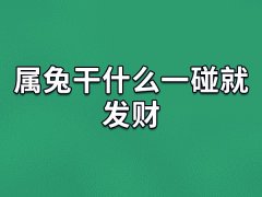 属兔干什么一碰就发财：餐饮/医生/销售