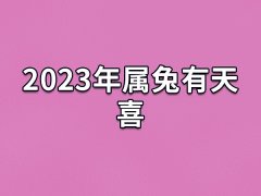 2023年属兔有天喜：偏财运变好/事业高升/身体健康