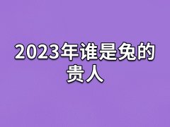 2023年谁是兔的贵人：属猪人/属羊人/属狗人