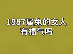 1987属兔的女人有福气吗：财运好(事业一般)