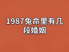 1987兔命里有几段婚姻：一段婚姻(感情波折少)