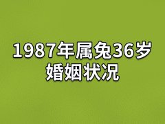 1987年属兔36岁婚姻状况：经常吵架(可能出现第三者)