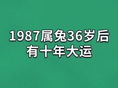 1987属兔36岁后有十年大运：收入增多(经济状况变好)