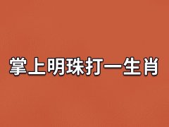 掌上明珠打一生肖：生肖兔(富于想象力)