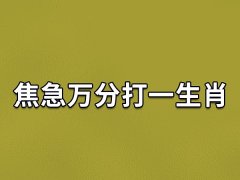 焦急万分打一生肖：生肖