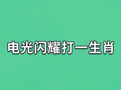 电光闪耀打一生肖：生肖