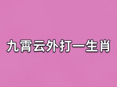 九霄云外打一生肖：生肖