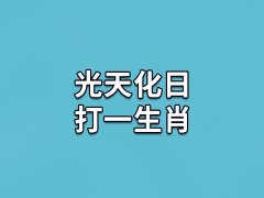 光天化日打一生肖：属相