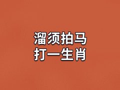 溜须拍马打一生肖：生肖