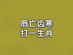 唇亡齿寒打一生肖：生肖兔(贪图安逸)