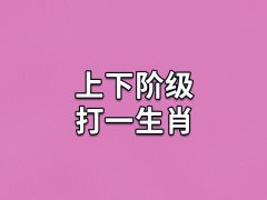 上下阶级打一生肖：生肖