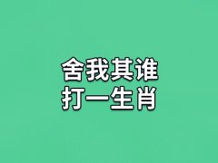 舍我其谁打一生肖：生肖马(心思细腻)