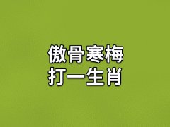 傲骨寒梅打一生肖：生肖