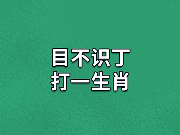 二人三足打一生肖图片