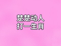 楚楚动人打一生肖:生肖