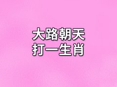 大路朝天打一生肖:生肖羊