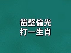 凿壁偷光打一生肖:生肖鼠