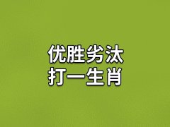 优胜劣汰打一生肖:生肖龙