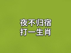 夜不归宿打一生肖:生肖鼠