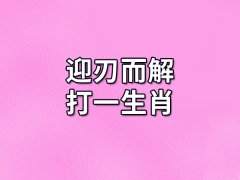 迎刃而解打一生肖：生肖