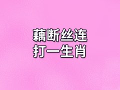 藕断丝连打一生肖:生肖