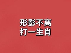 形影不离打一生肖:生肖