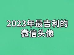 2023年最吉利的微信头像:兔子/锦鲤/麦穗/金元宝