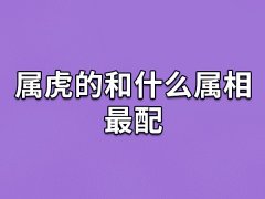 属虎的和什么属相最配:属