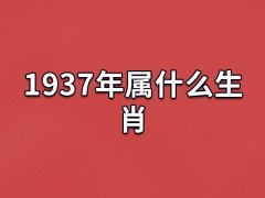 1937年属什么生肖:农历丁丑