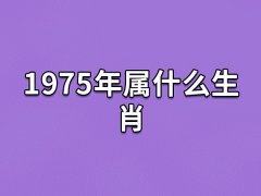 1975年属什么生肖:农历乙