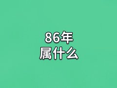 86年属什么:农历丙寅年(生