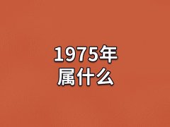 1975年属什么:农历乙卯年(生肖兔)