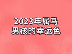 2023年属马男孩的幸运色：红色（感情顺利）