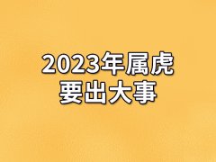 2023年属虎要出大事:桃花运