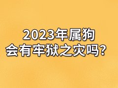 2023年属狗会有牢狱之灾吗