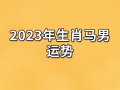 2023年生肖马男运势：财运