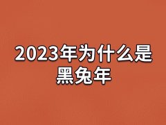 2023年为什么是黑兔年,