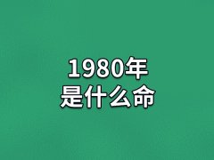 1980年是什么命:金猴之命