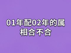 01年配02年的属相合不合