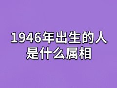 1946年出生的人是什么属相