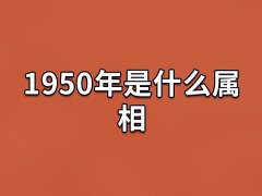 1950年是什么属相:属相虎