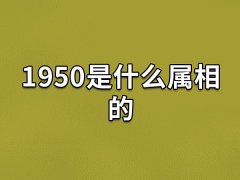 1950是什么属相的:生肖属虎