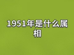 1951年是什么属相:生肖兔(农历辛卯年)